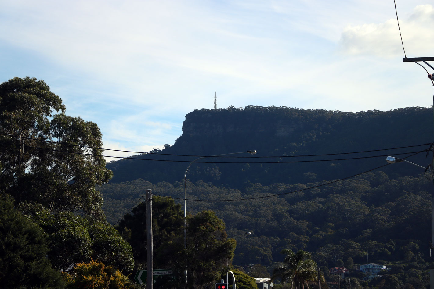 Pest & Termite Control Mt Ousley